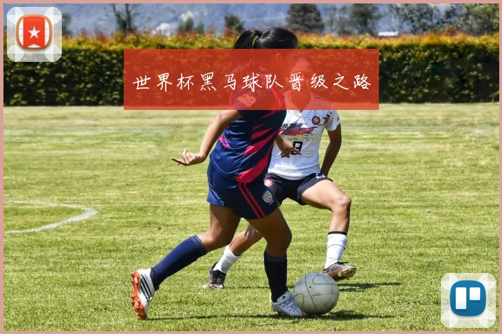 世界杯黑马球队晋级之路