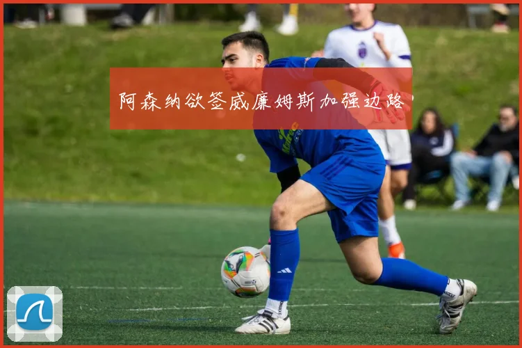 阿森纳欲签威廉姆斯加强边路
